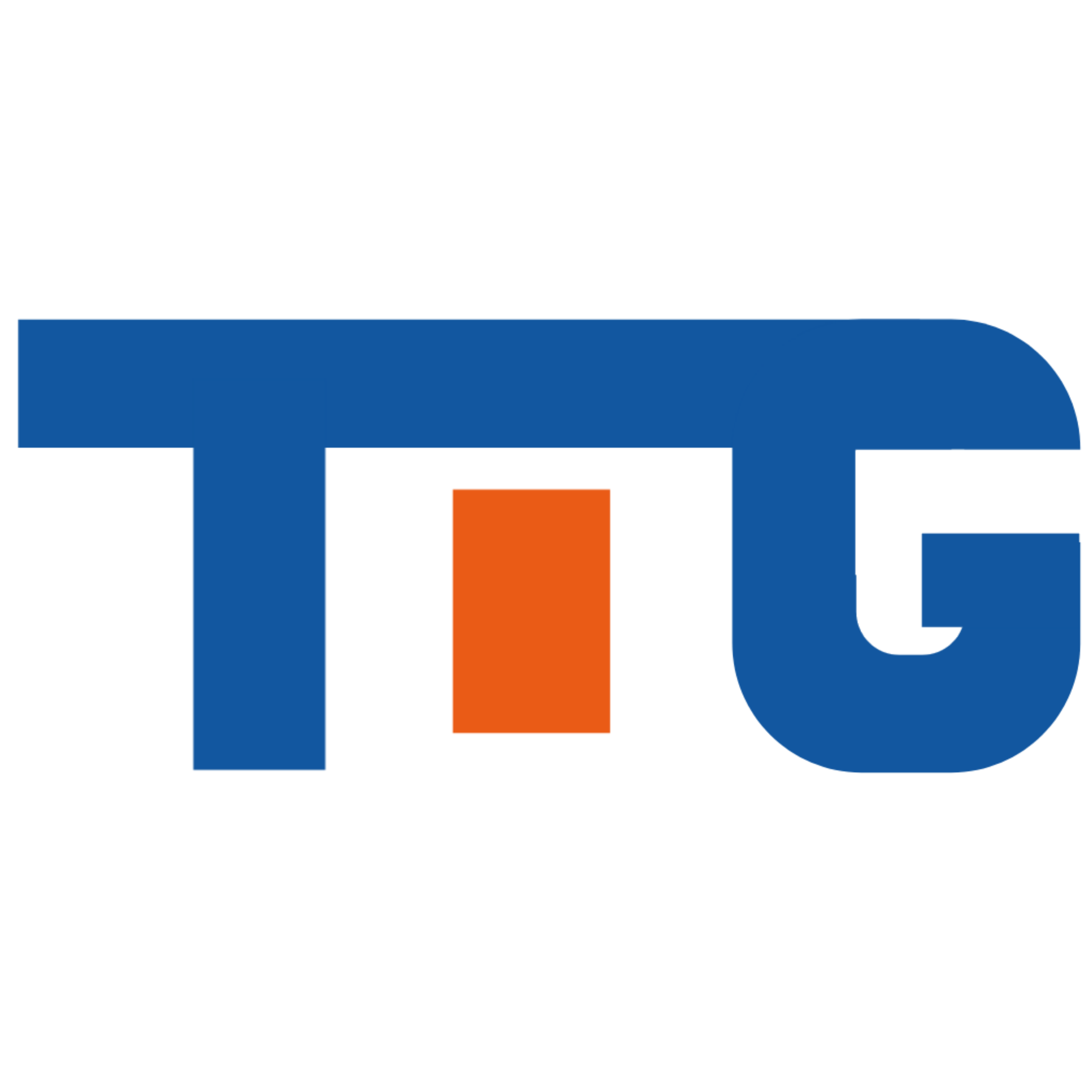 TIG Logistics logo